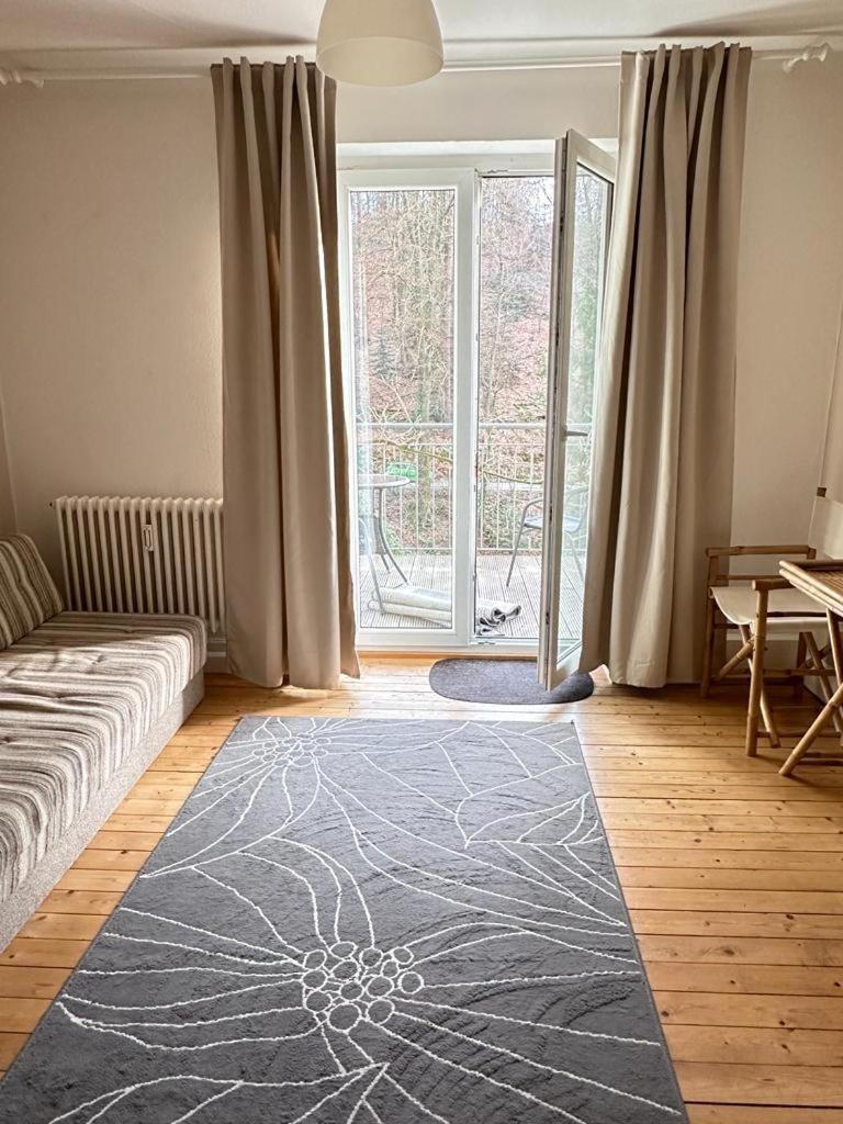 Stadt- Naturnah, Traumblick Und Balkon Baden-Baden Kültér fotó