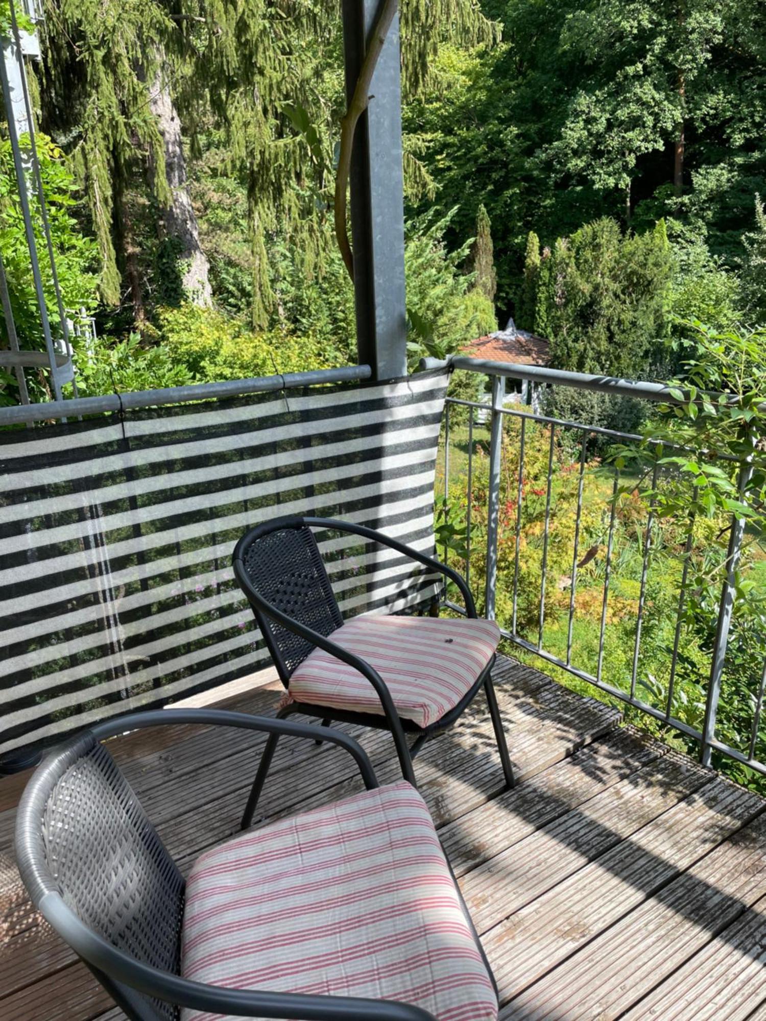 Stadt- Naturnah, Traumblick Und Balkon Baden-Baden Kültér fotó